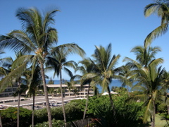 DSCN0004.JPG