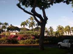 DSCN0056.JPG
