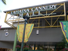 DSCN0062.JPG