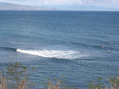 DSCN0079.JPG