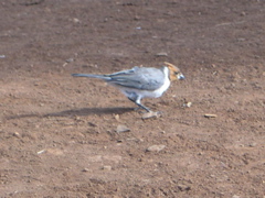 DSCN0082.JPG