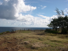 DSCN0086.JPG