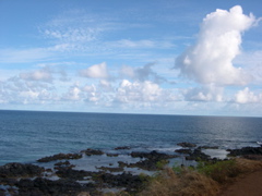 DSCN0088.JPG