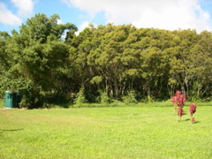 DSCN0090.JPG