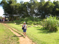 DSCN0091.JPG