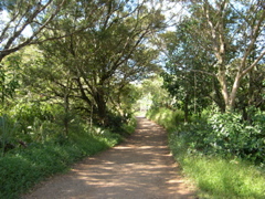 DSCN0092.JPG