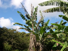 DSCN0093.JPG