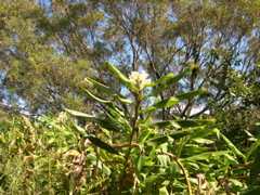 DSCN0094.JPG