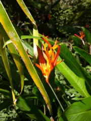 DSCN0099.JPG