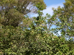 DSCN0101.JPG