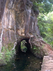 DSCN0106.JPG