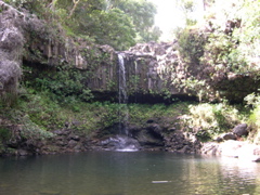DSCN0108.JPG