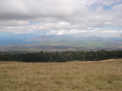DSCN0010.JPG