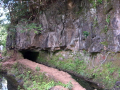 DSCN0111.JPG