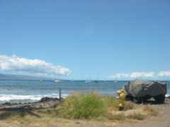 DSCN0117.JPG
