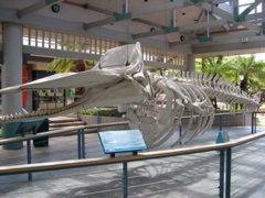 DSCN0122.JPG