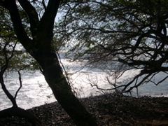 DSCN0124.JPG
