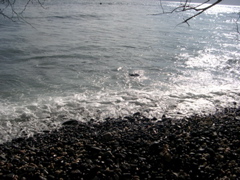 DSCN0126.JPG