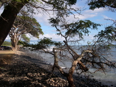 DSCN0127.JPG