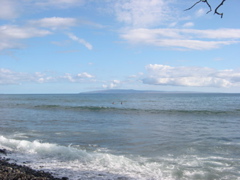DSCN0128.JPG