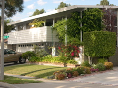 DSCN0006.JPG