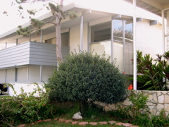 DSCN0007.JPG