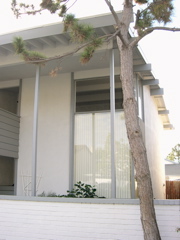 DSCN0008.JPG