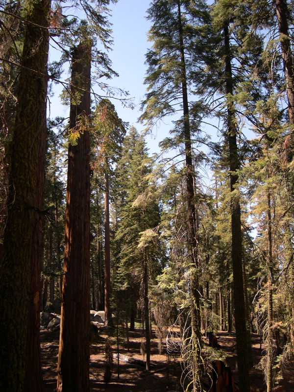 DSCN0028.JPG