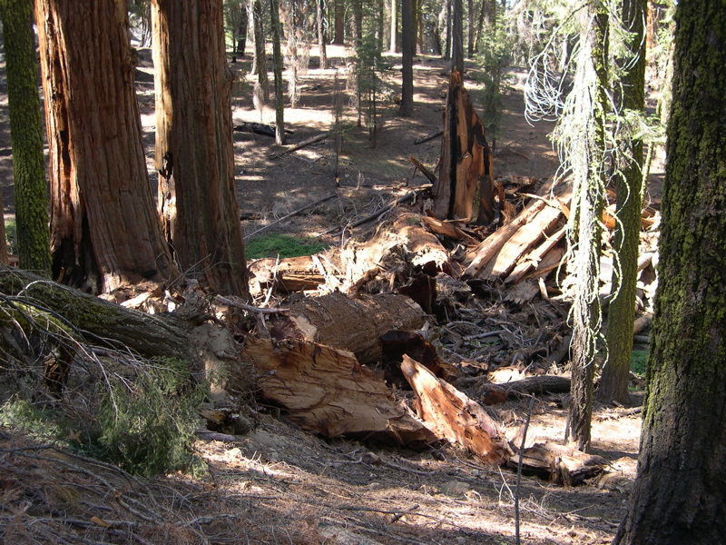 DSCN0029.JPG