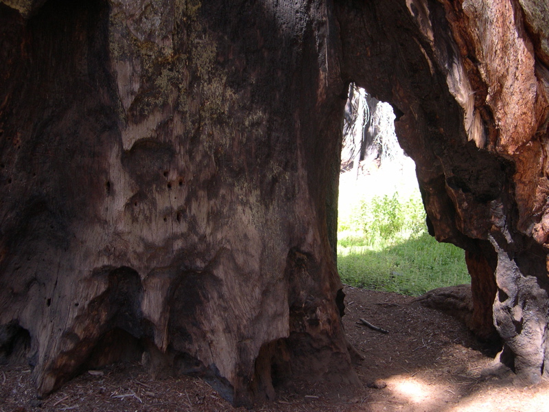 DSCN0034.JPG