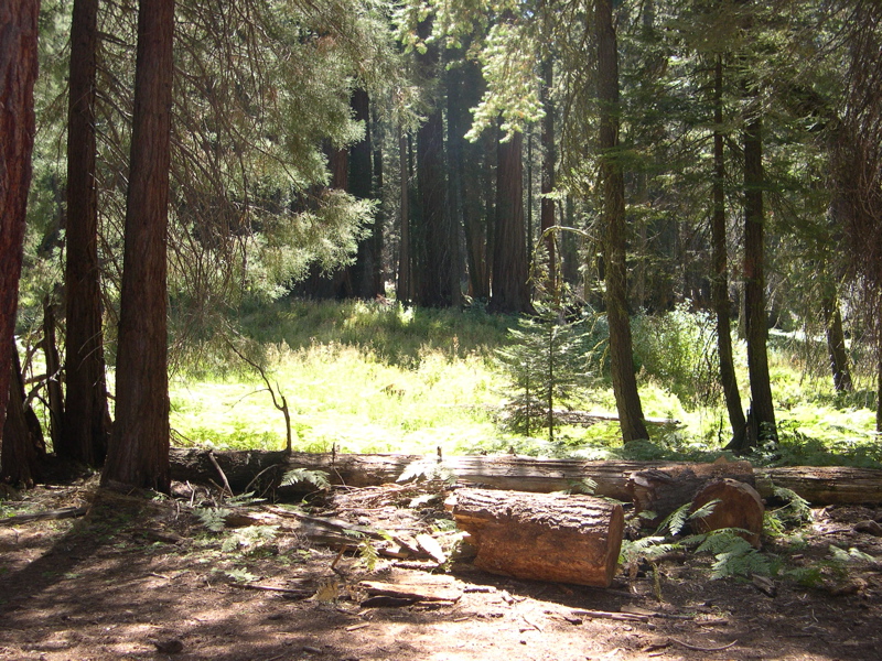 DSCN0045.JPG