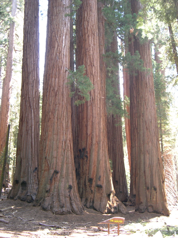 DSCN0050.JPG