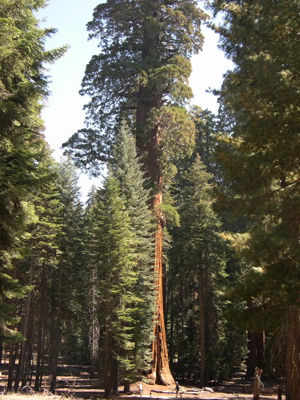 DSCN0052.JPG