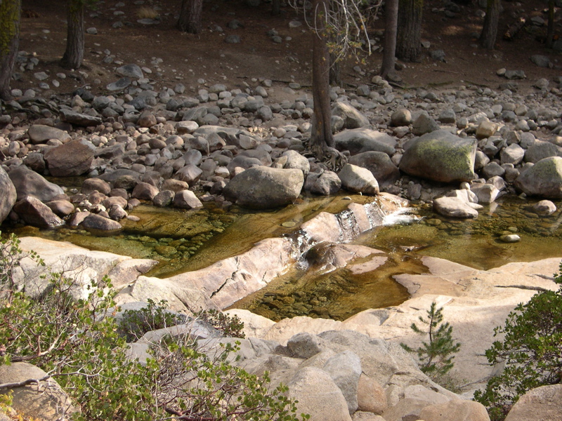 DSCN0008.JPG