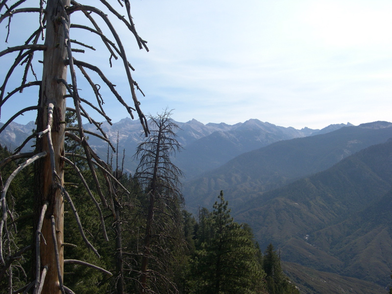 DSCN0068.JPG