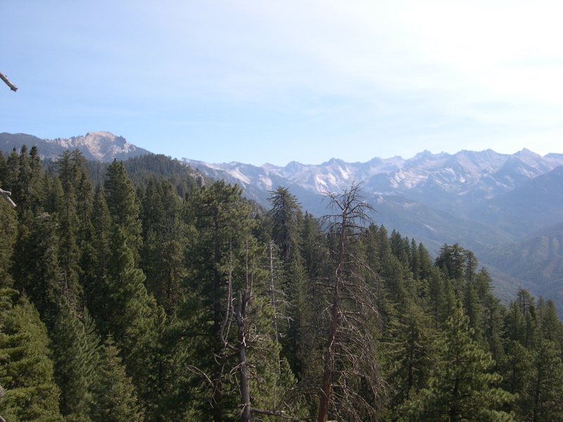 DSCN0069.JPG