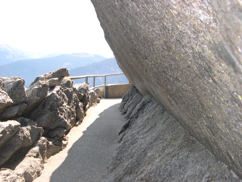 DSCN0084.JPG