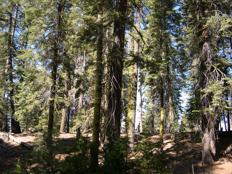 DSCN0017.JPG