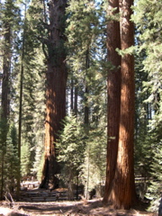 DSCN0018.JPG