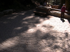 DSCN0020.JPG