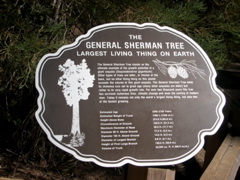 DSCN0023.JPG