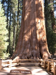DSCN0022.JPG