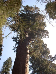 DSCN0026.JPG
