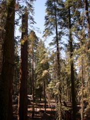 DSCN0028.JPG