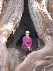 DSCN0031.JPG