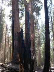 DSCN0032.JPG