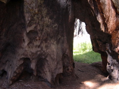 DSCN0034.JPG