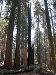 DSCN0036.JPG