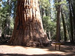 DSCN0038.JPG