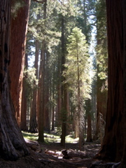 DSCN0043.JPG